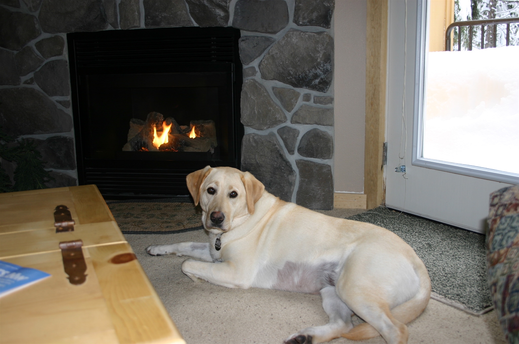 Pet Friendly Hotels Oregon