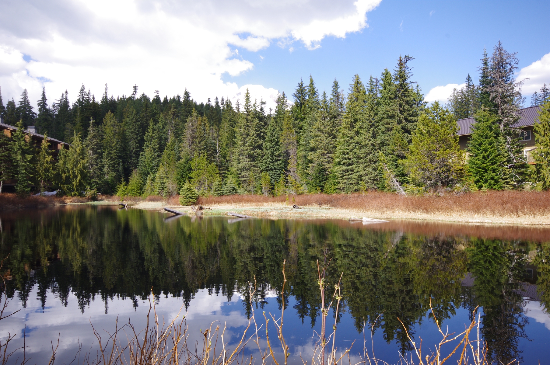 Walking Trails Around Collins Lake