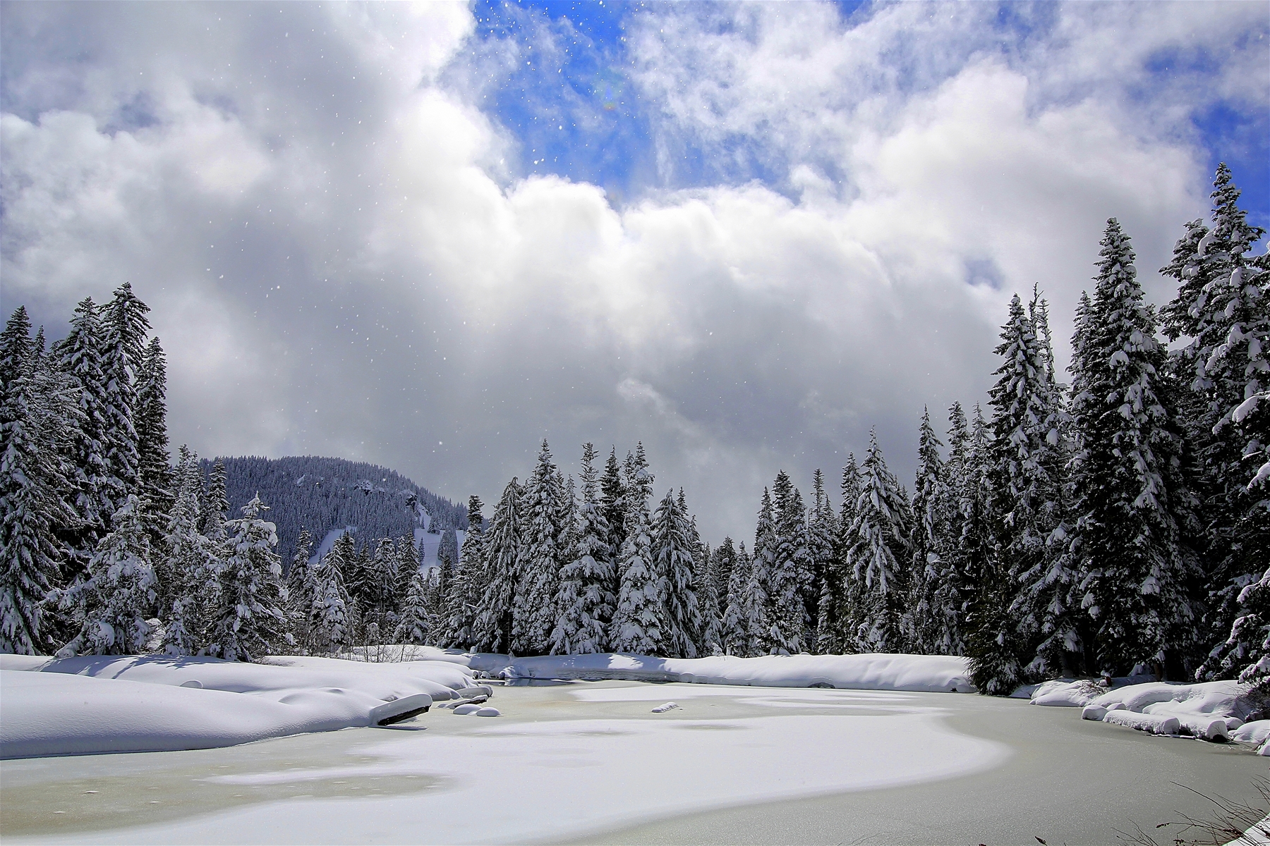 Fesh Snow on Collins Lake